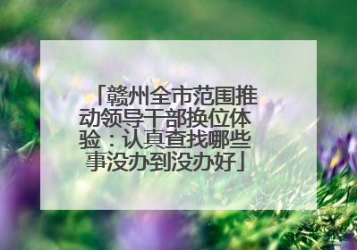 赣州全市范围推动领导干部换位体验：认真查找哪些事没办到没办好