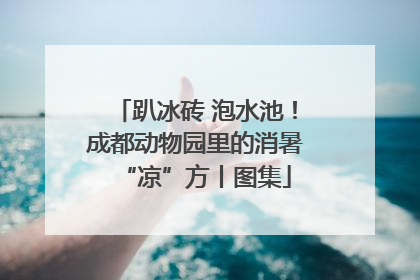 趴冰砖 泡水池！成都动物园里的消暑“凉”方丨图集