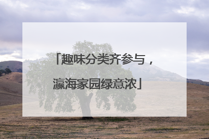 趣味分类齐参与，瀛海家园绿意浓