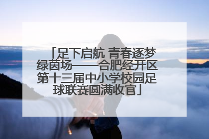 足下启航 青春逐梦绿茵场——合肥经开区第十三届中小学校园足球联赛圆满收官