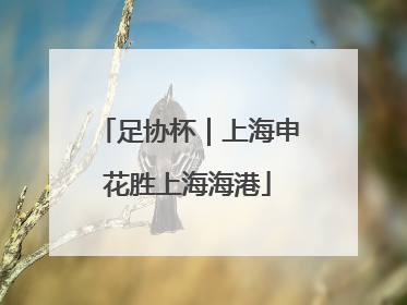足协杯｜上海申花胜上海海港