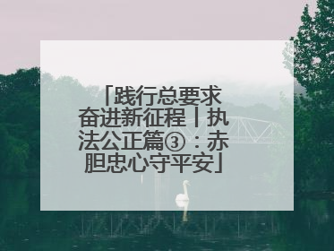 践行总要求 奋进新征程丨执法公正篇③：赤胆忠心守平安