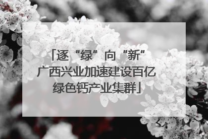 逐“绿”向“新” 广西兴业加速建设百亿绿色钙产业集群