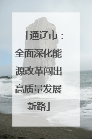 通辽市：全面深化能源改革闯出高质量发展新路