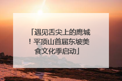 遇见舌尖上的鹰城！平顶山首届东坡美食文化季启动