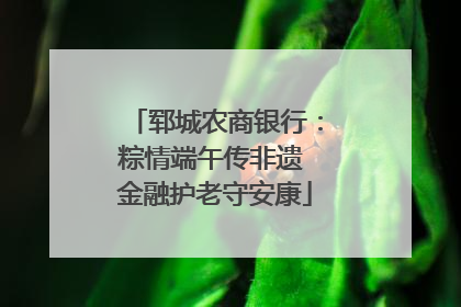 郓城农商银行：粽情端午传非遗 金融护老守安康