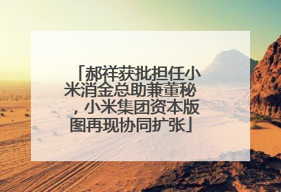 郝祥获批担任小米消金总助兼董秘，小米集团资本版图再现协同扩张