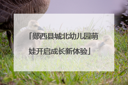 郧西县城北幼儿园萌娃开启成长新体验