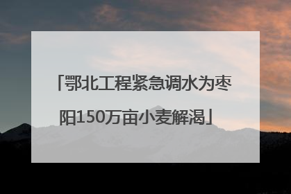 鄂北工程紧急调水为枣阳150万亩小麦解渴