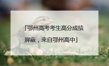 鄂州高考考生高分成绩屏蔽，来自鄂州高中