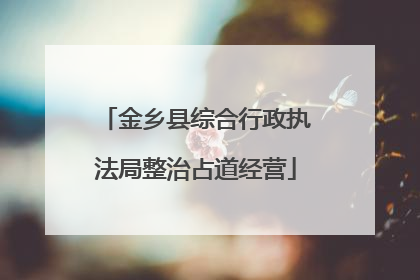 金乡县综合行政执法局整治占道经营