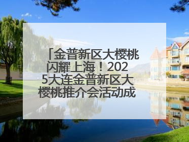 金普新区大樱桃闪耀上海！2025大连金普新区大樱桃推介会活动成功举办！