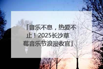 音乐不息，热爱不止！2025长沙草莓音乐节浪漫收官