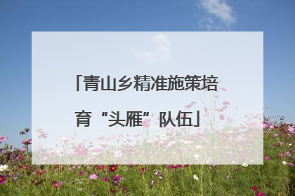 青山乡精准施策培育“头雁”队伍