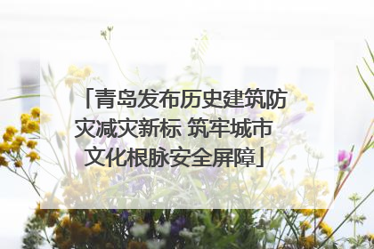 青岛发布历史建筑防灾减灾新标 筑牢城市文化根脉安全屏障