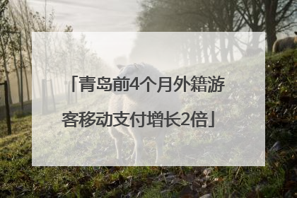 青岛前4个月外籍游客移动支付增长2倍
