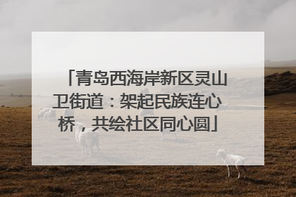 青岛西海岸新区灵山卫街道：架起民族连心桥，共绘社区同心圆
