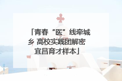 青春“医”线牵城乡 高校实践团解密宜昌育才样本
