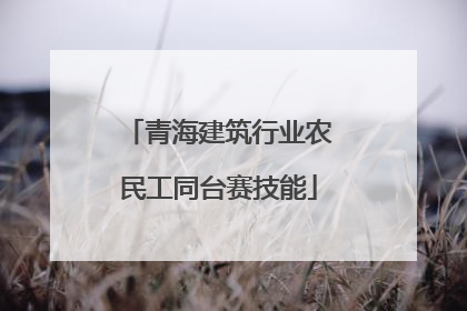 青海建筑行业农民工同台赛技能