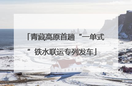 青藏高原首趟“一单式”铁水联运专列发车