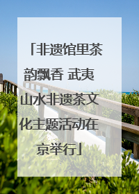 非遗馆里茶韵飘香 武夷山水非遗茶文化主题活动在京举行