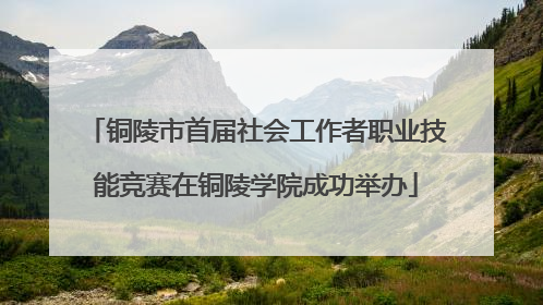 铜陵市首届社会工作者职业技能竞赛在铜陵学院成功举办