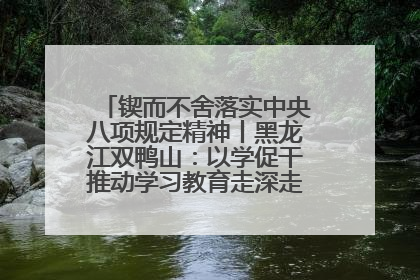 锲而不舍落实中央八项规定精神丨黑龙江双鸭山：以学促干推动学习教育走深走实 从小事入手写好“民生答卷”