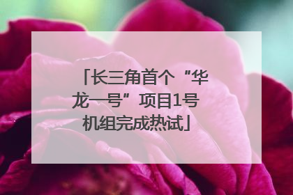 长三角首个“华龙一号”项目1号机组完成热试