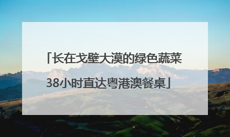 长在戈壁大漠的绿色蔬菜38小时直达粤港澳餐桌