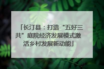 长汀县：打造“五好三共”庭院经济发展模式激活乡村发展新动能
