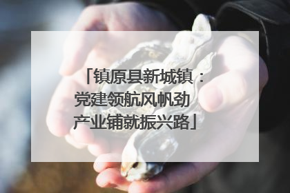 镇原县新城镇：党建领航风帆劲 产业铺就振兴路