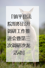 镇平县法院组织召开调研工作推进会暨第三次调研沙龙活动