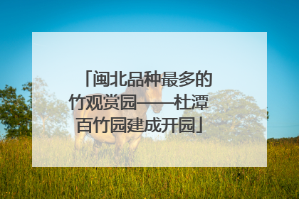 闽北品种最多的竹观赏园——杜潭百竹园建成开园