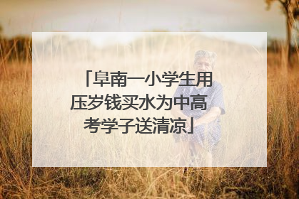 阜南一小学生用压岁钱买水为中高考学子送清凉