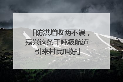 防洪增收两不误，嘉兴这条千吨级航道引来村民叫好