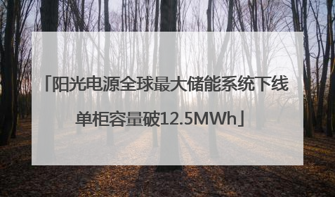 阳光电源全球最大储能系统下线 单柜容量破12.5MWh