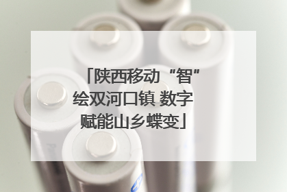 陕西移动“智”绘双河口镇 数字赋能山乡蝶变