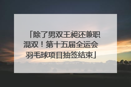 除了男双王昶还兼职混双！第十五届全运会羽毛球项目抽签结束
