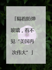 隔着防弹玻璃，看不见“美国再次伟大”