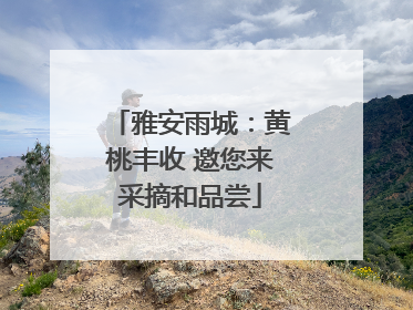 雅安雨城：黄桃丰收 邀您来采摘和品尝