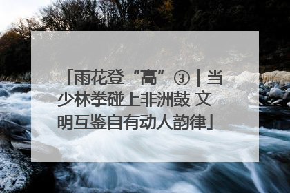 雨花登“高”③｜当少林拳碰上非洲鼓 文明互鉴自有动人韵律
