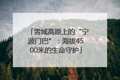 雪域高原上的“宁波门巴”：海拔4500米的生命守护