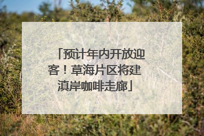 预计年内开放迎客！草海片区将建滇岸咖啡走廊