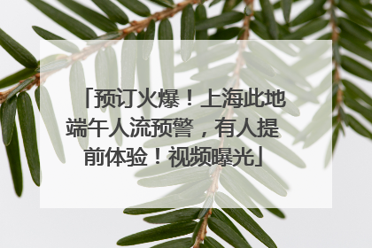 预订火爆！上海此地端午人流预警，有人提前体验！视频曝光