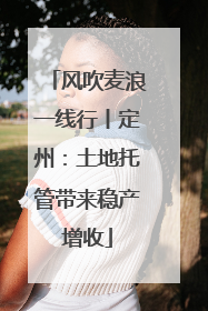 风吹麦浪一线行丨定州：土地托管带来稳产增收
