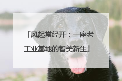 风起常经开：一座老工业基地的智美新生