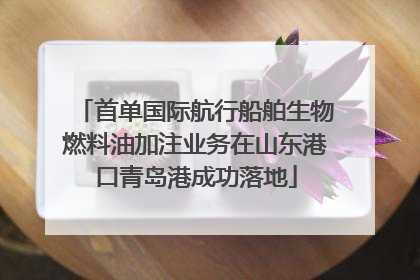 首单国际航行船舶生物燃料油加注业务在山东港口青岛港成功落地