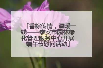 香粽传情，温暖一线——泰安市园林绿化管理服务中心开展端午节慰问活动