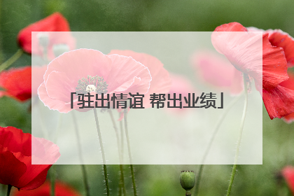 驻出情谊 帮出业绩