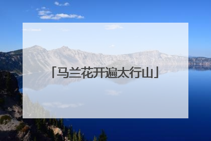 马兰花开遍太行山
